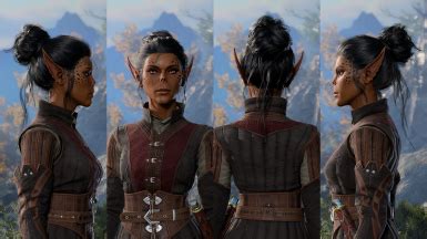 Honey's Hair Kitchen (WIP) at Baldur's Gate 3 Nexus .